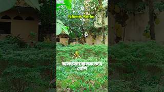 অসততা কে সবচেয়ে বেশি অপছন্দ করতেন। #hasan #islamicshorts