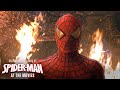 SPIDER-MAN - Celebrating 20 Years at the Movies