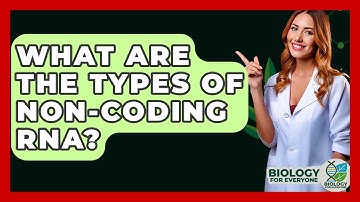 What Are The Types Of Non-coding RNA? - Biology For Everyone