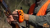 Dt Systems Master Retriever 1100 Remote Controlled Dog Training Collar Youtube