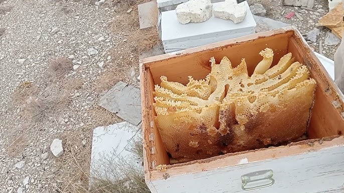 Жалаңаш адамның массажы Анасы қызын жыныстық қатынасқа түсіреді