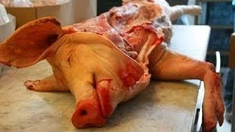 HOW ITS MADE: Pork Products ()