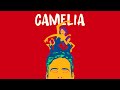 Charlie boisseau  camlia audio officiel