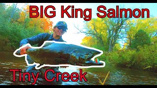 SALMON FISHING The Manistee River (PART 1)