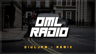 Divljam - Buba Corelli x Jala Brat x Coby (OML Remix)