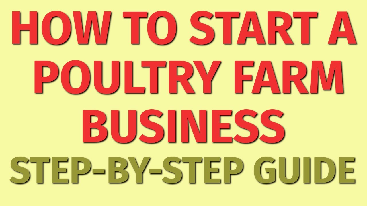 Starting A Poultry Farm Business Guide How To Start A Poultry Farm 