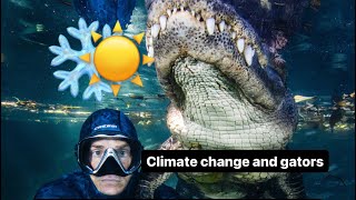 Climate change and gators!