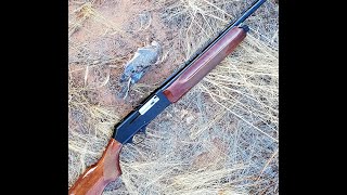 Browning B80 take down