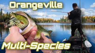 Kayak Fishing Orangeville's Island Lake ( Multi Species Day )