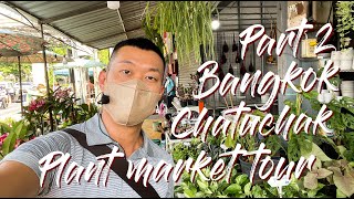 LARGEST Plant Market In Southeast Asia | A Mecca For Plant Lovers | CHATUCHAK Tour  Part 2