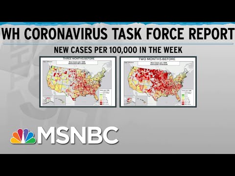 'Late Spring' Before Substantial Reduction In Covid Spread: W.H. Covid-19 Task Force | Rachel Maddow