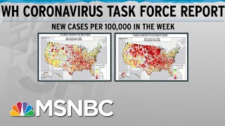 'Late Spring' Before Substantial Reduction In Covid Spread: W.H. Covid-19 Task Force | Rachel Maddow