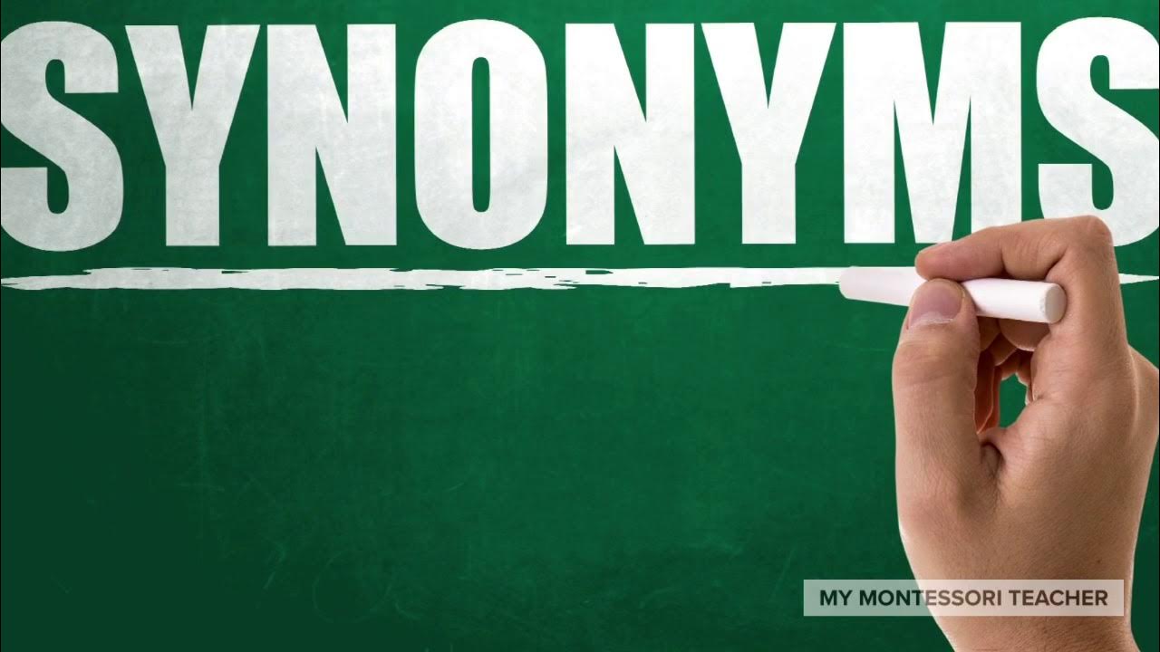 Synonym Introduction YouTube