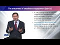 HRM737 Strategic Human Resource Management Lecture No 172