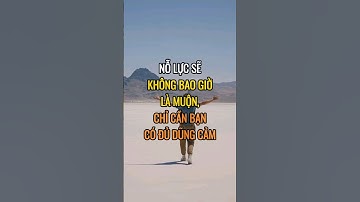 Nỗ lực sẽ không bao giờ là muộn, chỉ cần bạn có đủ dũng cảm.