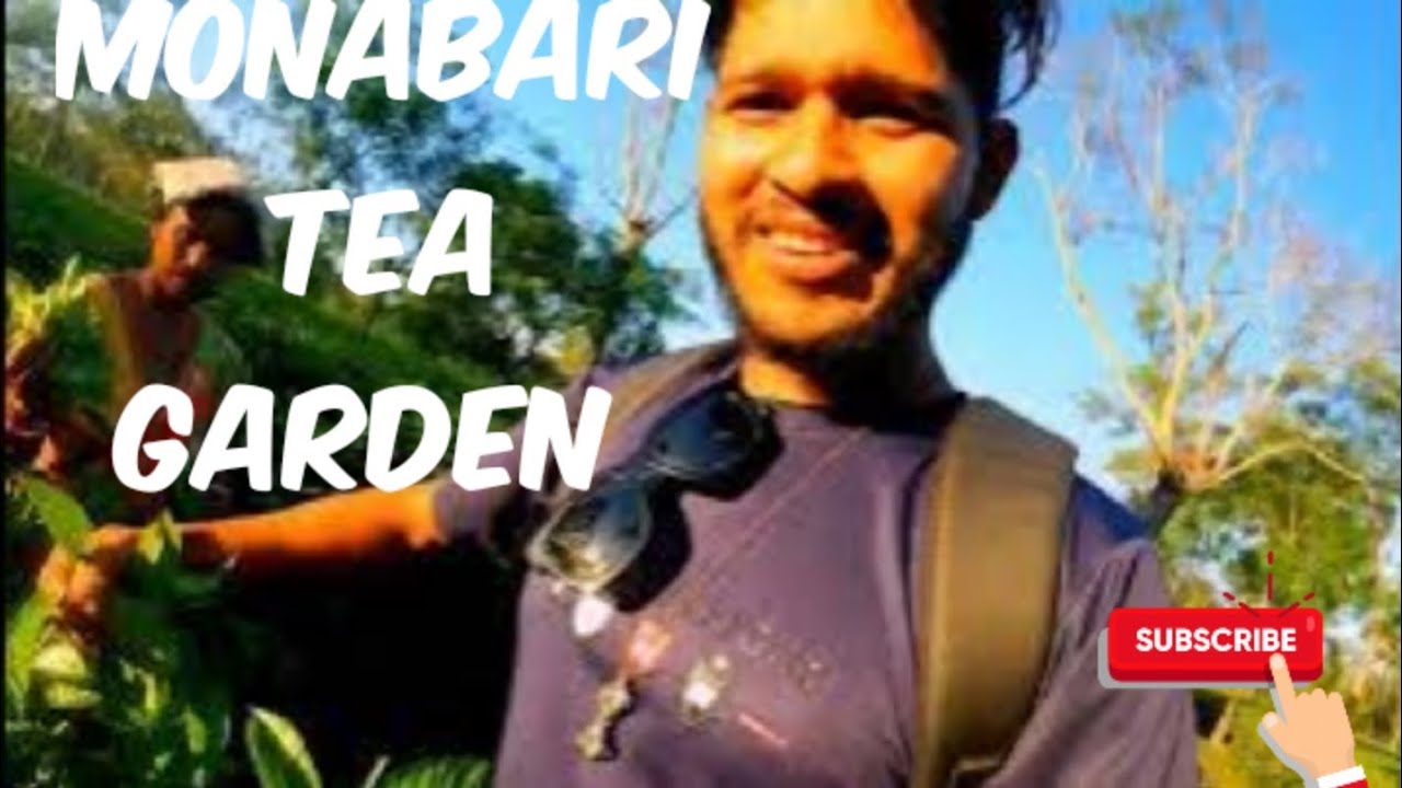 Monabari Tea Garden Asia Ka Sabse Bada Tea Bagan YouTube monabari-tea-garden-asia-ka-sabse-bada-tea-bagan-youtube