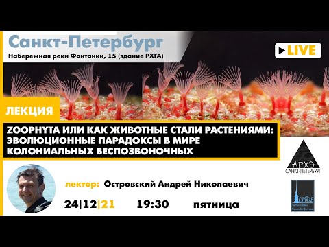 Лекция Андрея Островского "Zoophyta или как животные стали растениями"