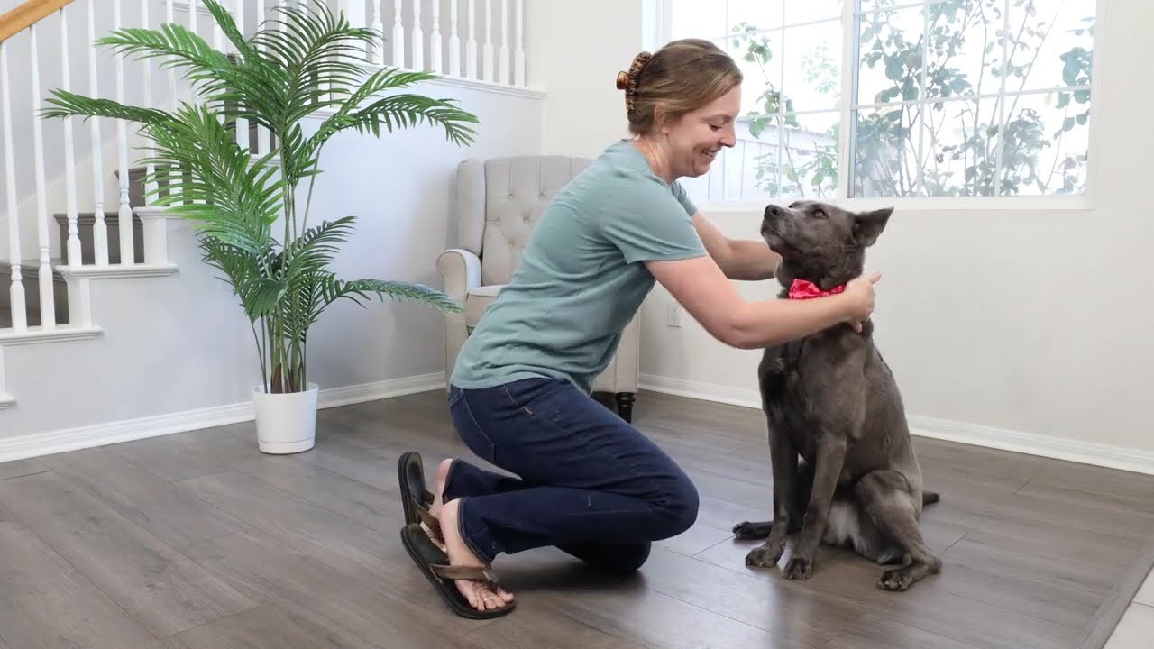 Bow Ties & Pinwheels by Huxley & Kent