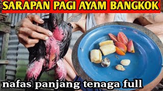 Sarapan pagi ayam Bangkok