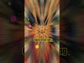 photo shop short
