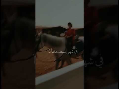 أيمان موعد جنيف حالةواتس ستوري طفلة فرس