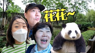 不愧是顶流韩国人为了见熊猫一面经历了太多…