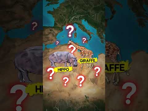 When The Sahara Desert Was Green Sahara History Geography