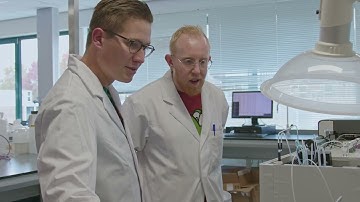 Skalar | Laboratory Engineer