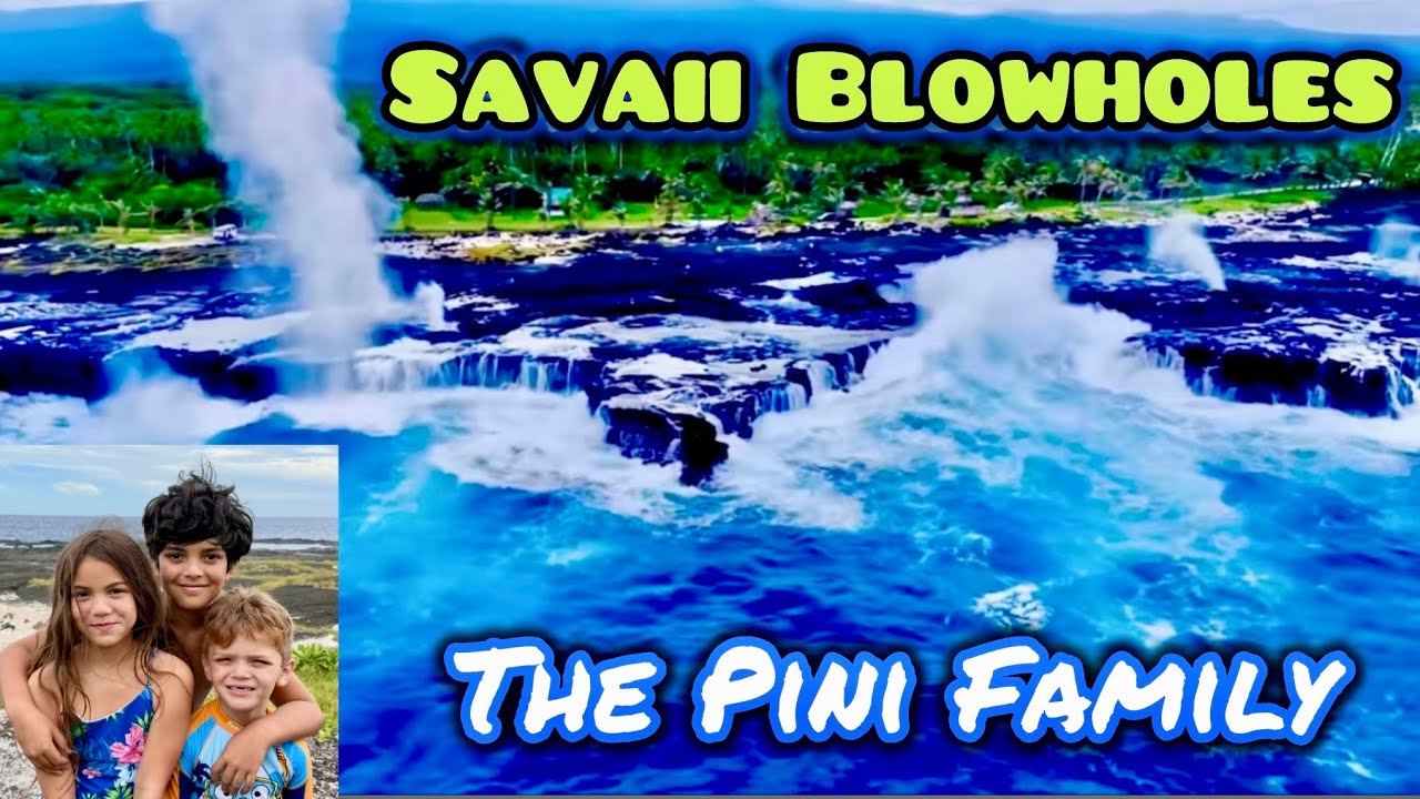 Sea Turtles and Progress on Our New Home in Faga! #samoa 🇼🇸