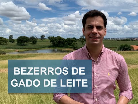 Vídeo: Como colocar dinheiro no cartão Alfa-Bank? As principais maneiras de reabastecer o cartão Alfa-Bank