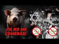 El intrigante misterio detrás del tabú religioso de no comer cerdo | [Documental]