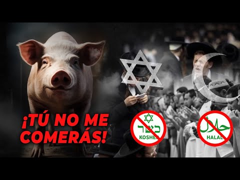 Video: Por qué los judíos no comen cerdo: historia, tradiciones y curiosidades