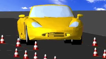 High-fidelity Car Driving Simulation