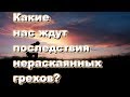 Какие нас ждут последствия нераскаянных грехов? - Пестов Николай Евграфович