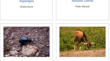 CSS Basics: Image Gallery - Part 3 of 3 (Language: Myanmar)