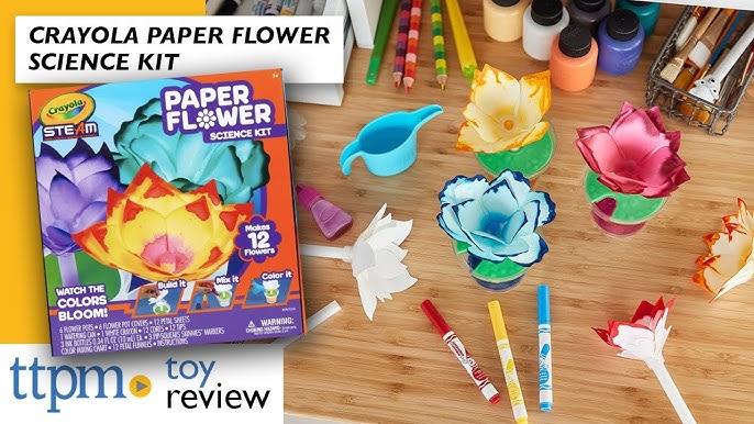 Crayola Steam Paper Butterflies Science Kit