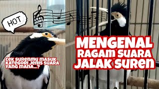 Mengenal ragam suara jalak suren