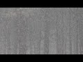Have Fun In Nature Live: It's Snowing Tonight