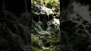 5 Minute Reset for Emotional Exhaustion Be Gentle With Yourself