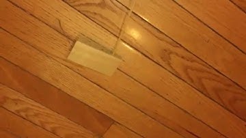 Slow motion video of mouse trap