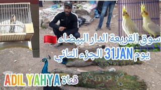 جولة في سوق القريعة ??يوم31jan الجزء التاني