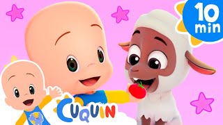 black sheep have you any wool cleo cuquin nursery rhymes