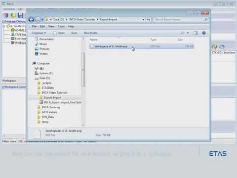 ETAS INCA V7 - Export and Import