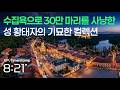 🎧 1차 세계대전의 도화선이 된 황태자의 마지막 낙원, 체코 베네쇼프