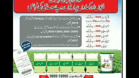 bahawalpur mea dap subsidy verification start || auto dap news today sop np w48 #dap #sop