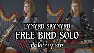 Lynyrd Skynyrd: Free Bird solo
