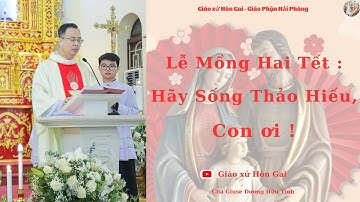 LỄ MỒNG HAI TẾT: HÃY SỐNG THẢO HIẾU, CON ƠI ! | Lm Giuse Dương Hữu Tình | BÀI GIẢNG ĐẦU XUÂN NĂM MỚI