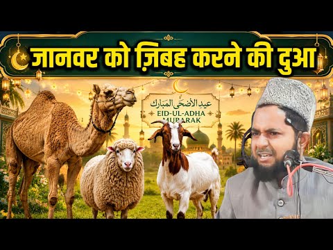Janwar ki baat karte samay kya kehna chahie Qurbani Special Takrir Maulana Jarjis ansari 