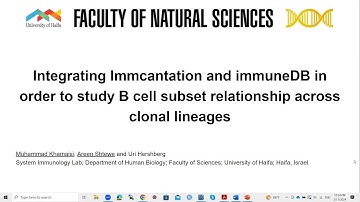 Integrating Immcantation and immuneDB in to study B cell subset relationship across clonal lineages