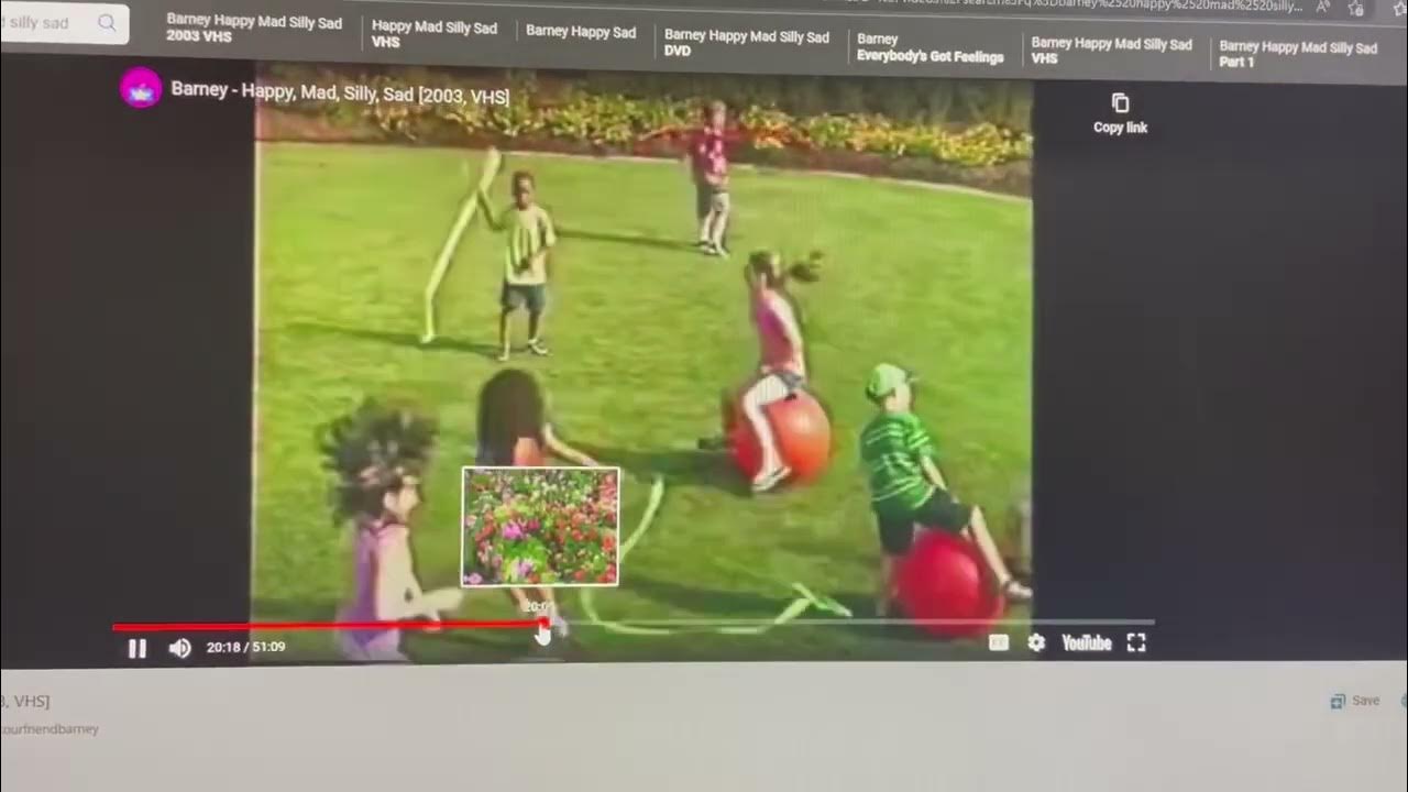 Four Kids on Bouncy Hopper Balls on Barney & Friends YouTube